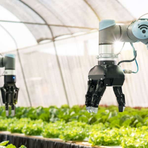 agtech-farm-2020