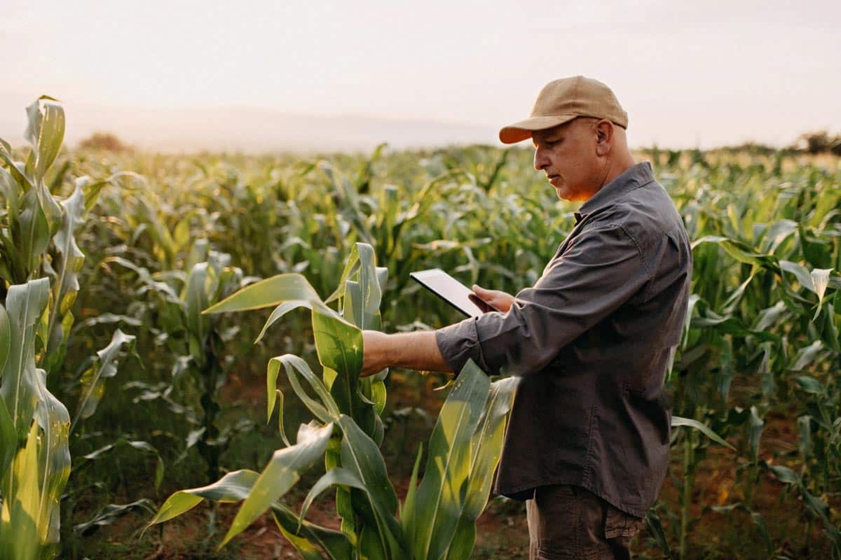 ECOTRACE-BLOCKCHAIN-ECONOMIA-CRIPTOMOEDA-TOKENIZACAO-AGRONEGOCIO-GLOBAL-AGRO-5-2021-03-25
