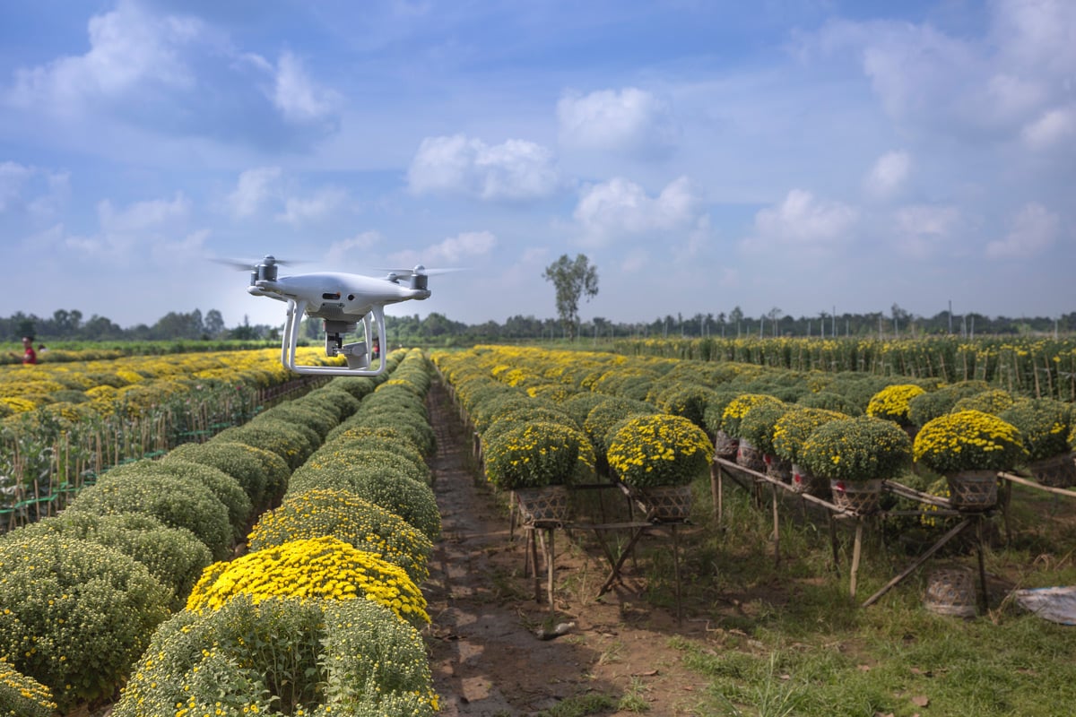 TECNOLOGIA-AGRONEGOCIO-RASTREABILIDADE-TOKEN